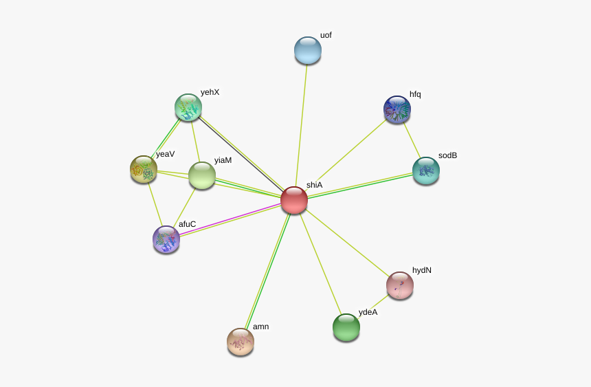 Shia Protein - Circle, HD Png Download