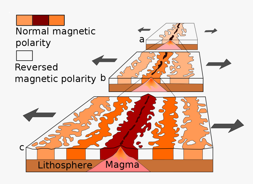 Example Of Magnetic Reversal, HD Png Download