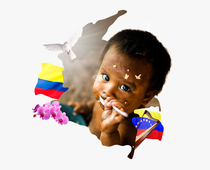 Https - //www - Ongcasacolombia - - Child, HD Png Download