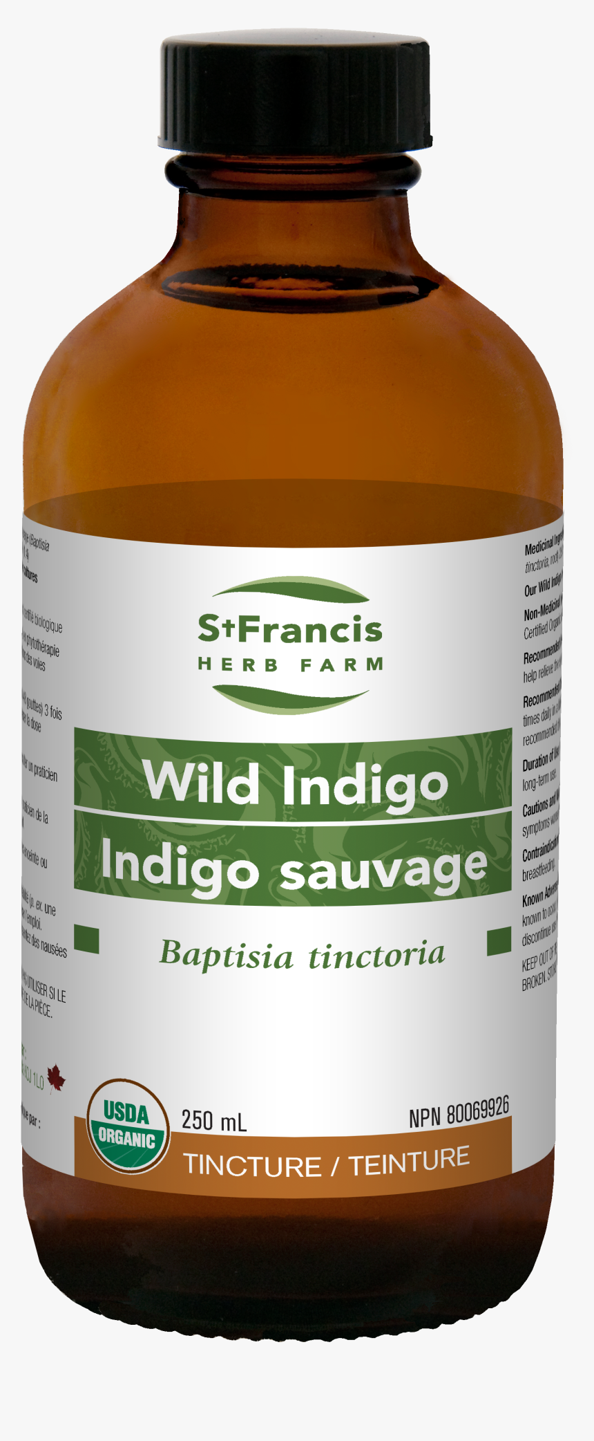 St Francis Saw Palmetto, HD Png Download