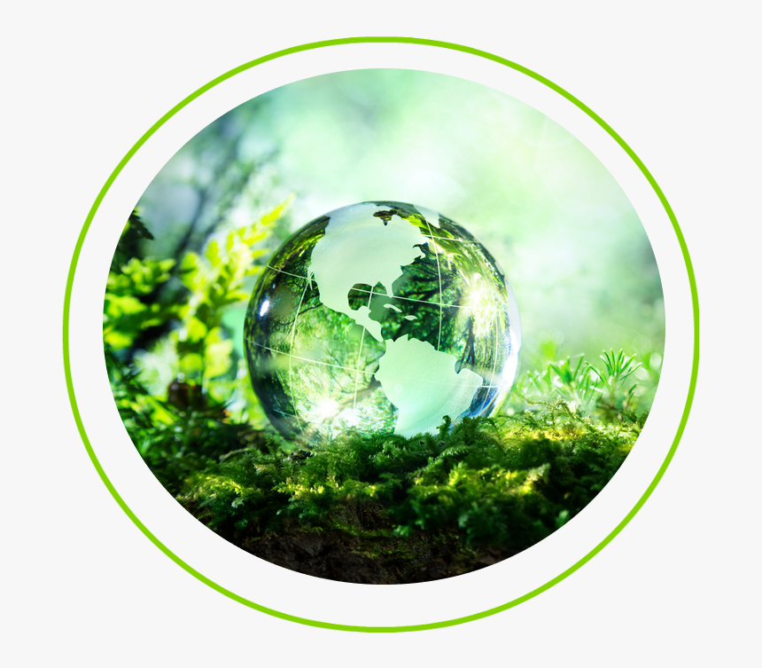 Bimbimfin - Biodiversity And Health Society, HD Png Download