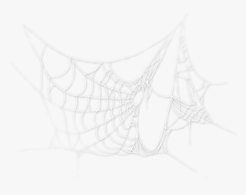 #spider #spiderweb #cobweb #spooky #halloween, HD Png Download