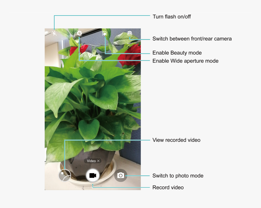 Gardening, HD Png Download