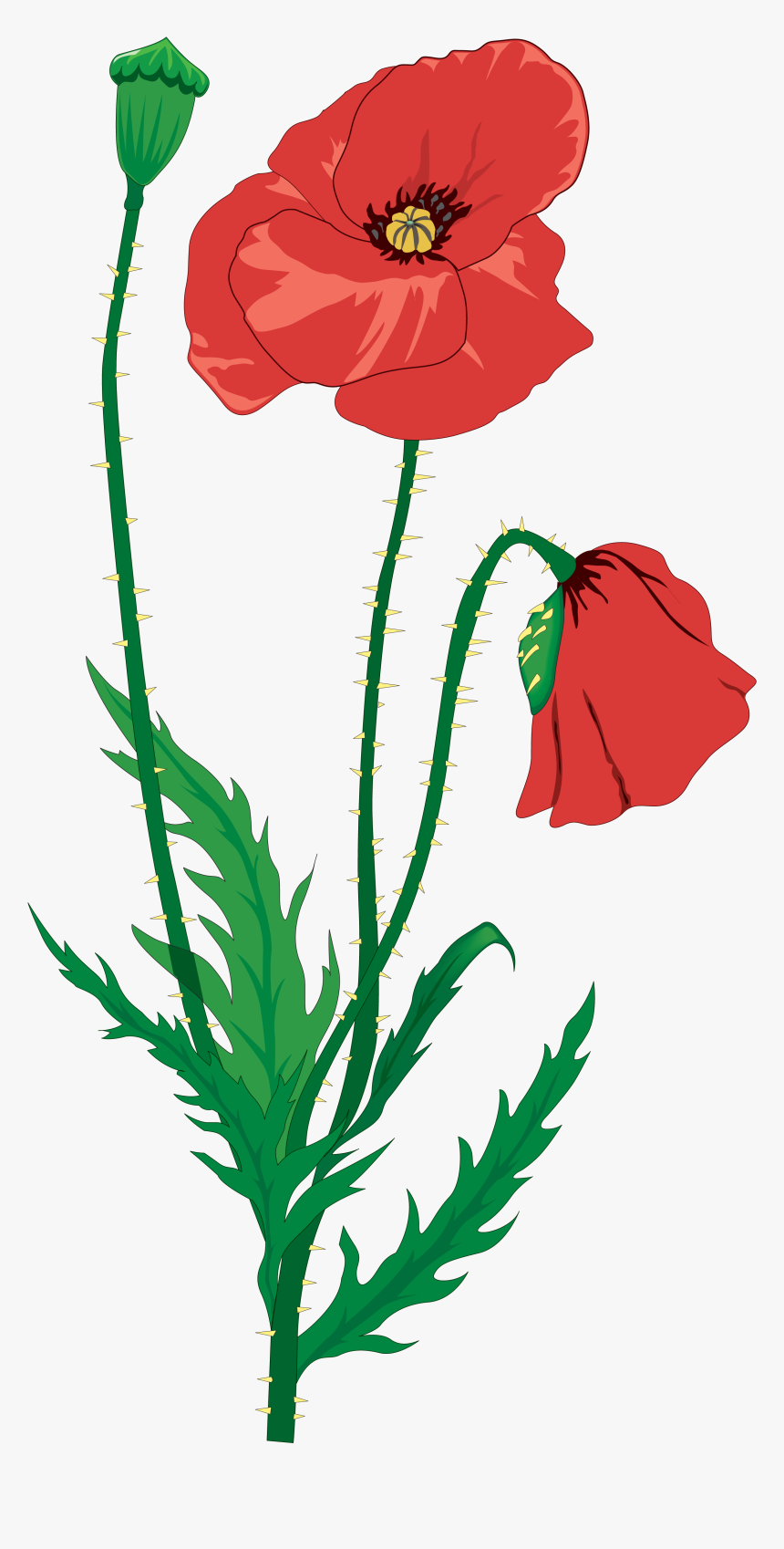 Transparent Veterans Day Clipart - Клипарт Мак, HD Png Download