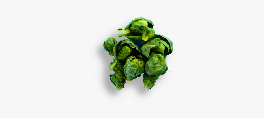 Brussels Sprout, HD Png Download