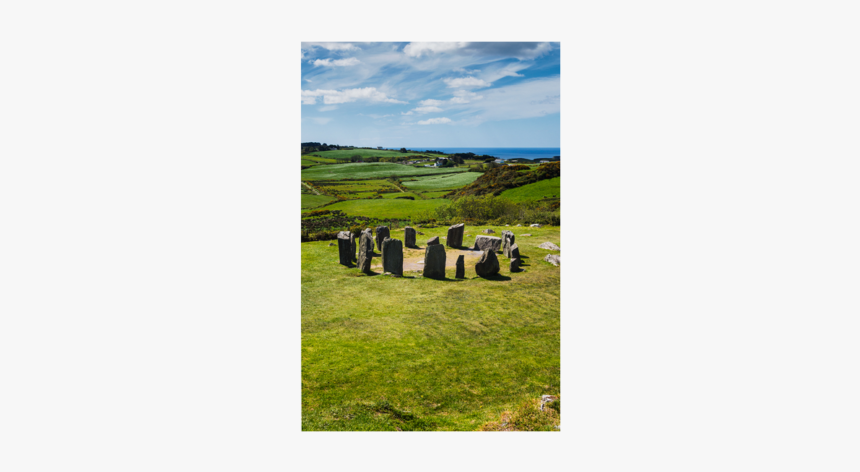 Grass, HD Png Download