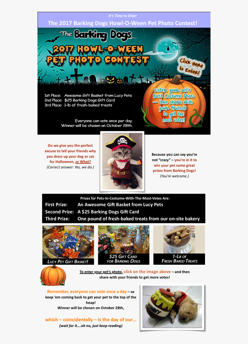 , Png Download - Flyer, Transparent Png