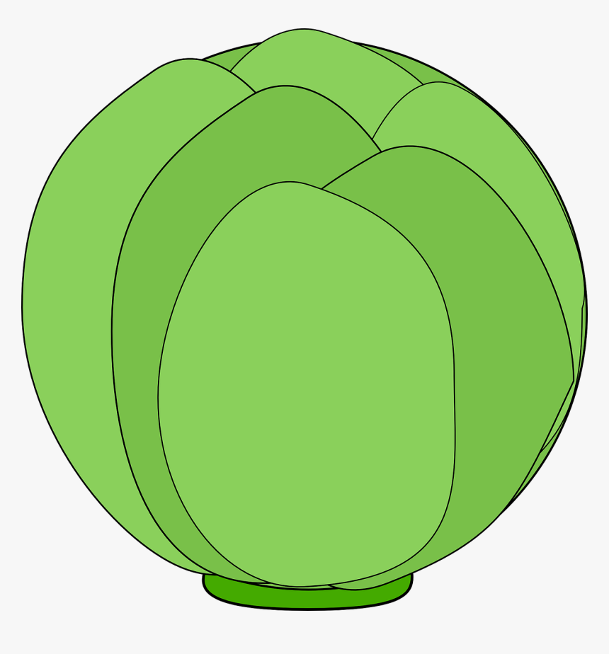 Cabbage, HD Png Download