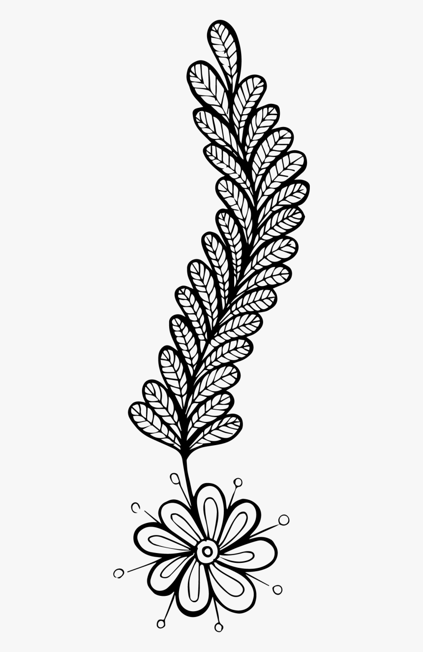 Line Art, HD Png Download
