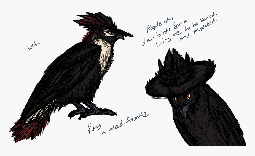 Raven, HD Png Download