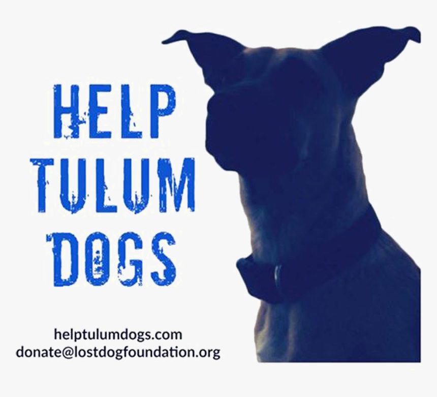 The Malibu Retreat Sunset Sessions Help Tulum Dogs - Poster, HD Png Download