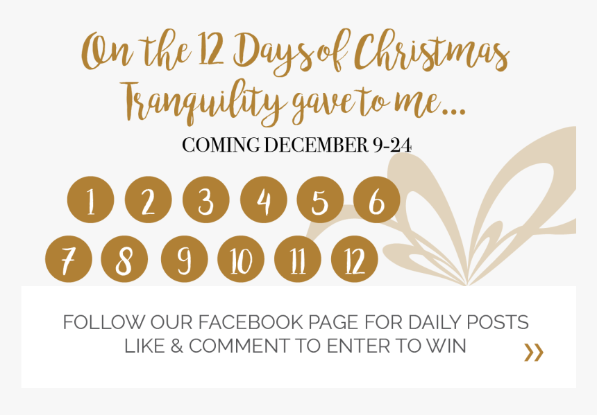 On Our Last 12 Business Days Before Christmas We Will - Fête De La Musique, HD Png Download