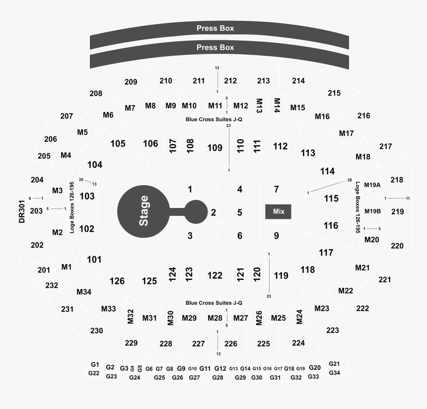 Little Caesars Arena Detroit Billie Eilish, HD Png Download