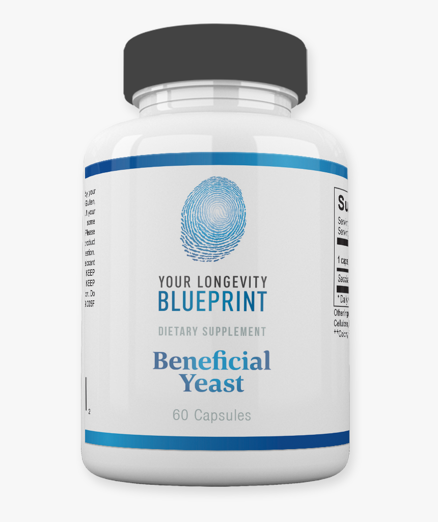 Your Longevity Blueprint: Building A Healthier Body, HD Png Download