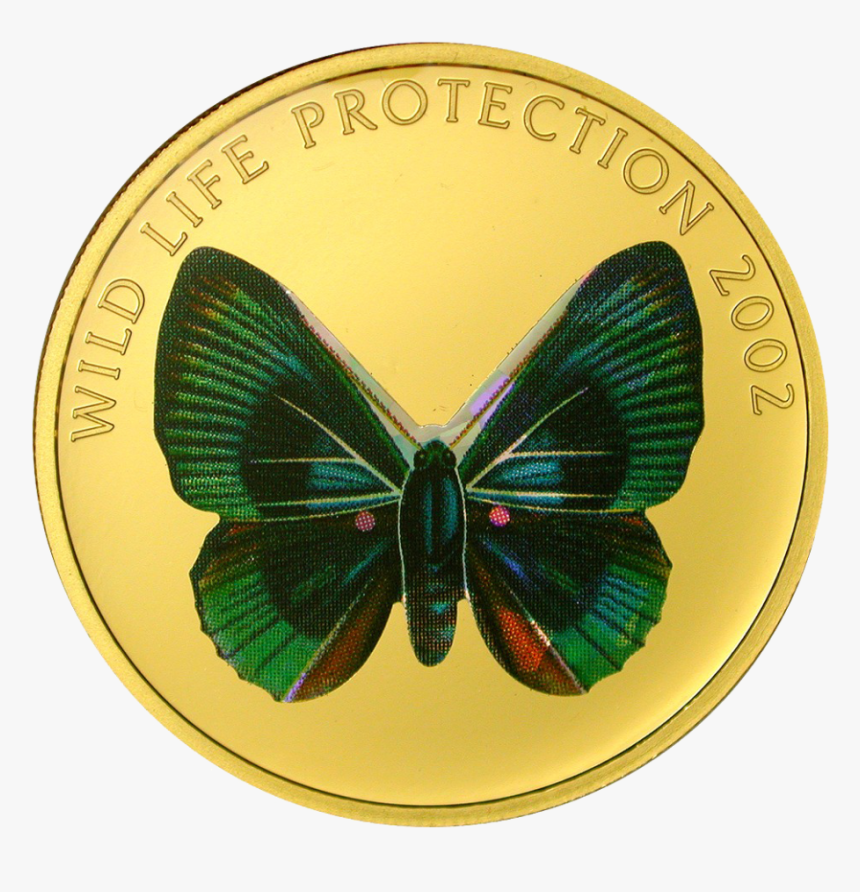 Limenitis, HD Png Download