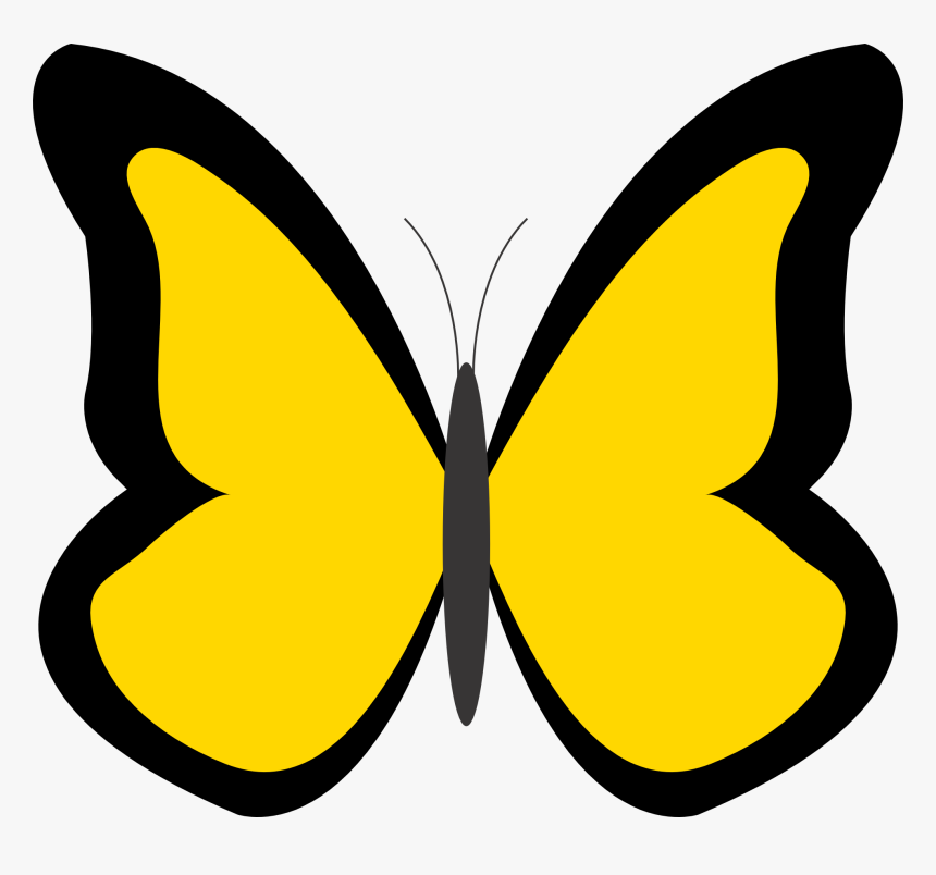 Butterfly 26 Color Colour Gold 1 Peace Xochi - Butterfly Clipart, HD Png Download