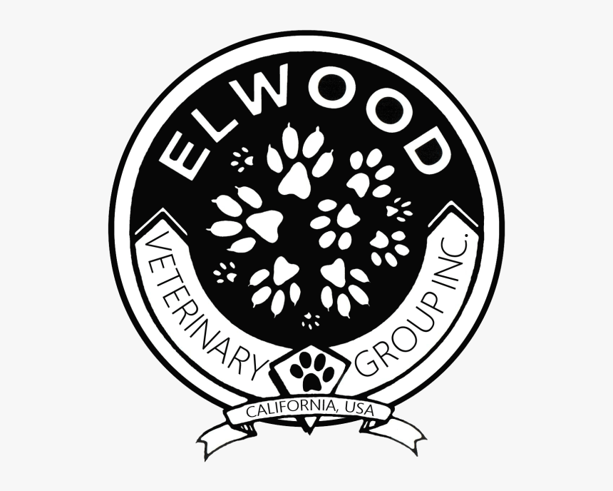 Elwood Veterinary Group, Inc - Circle, HD Png Download