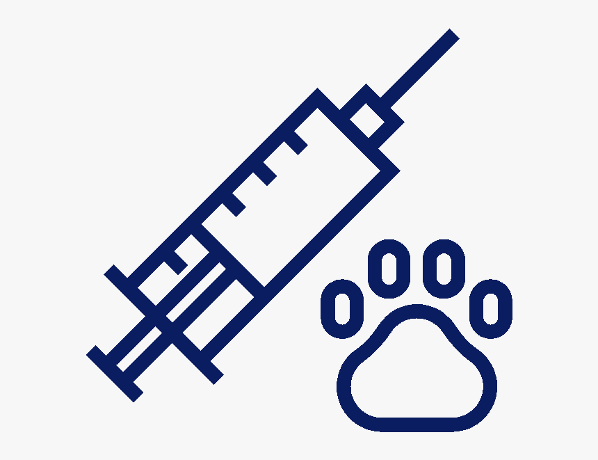 Vaccine Iconfinder, HD Png Download