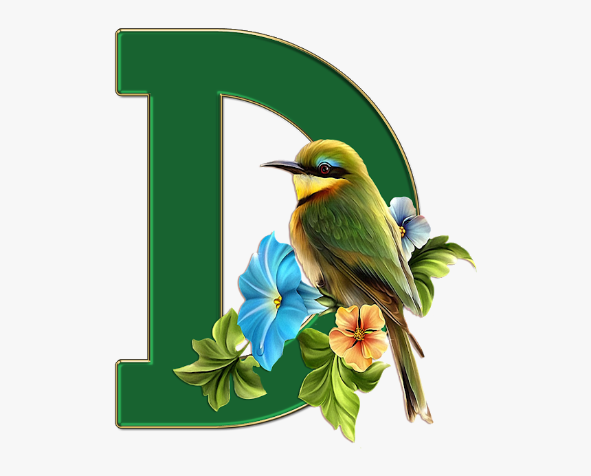 Passaro Png, Transparent Png