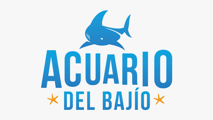 Shark, HD Png Download
