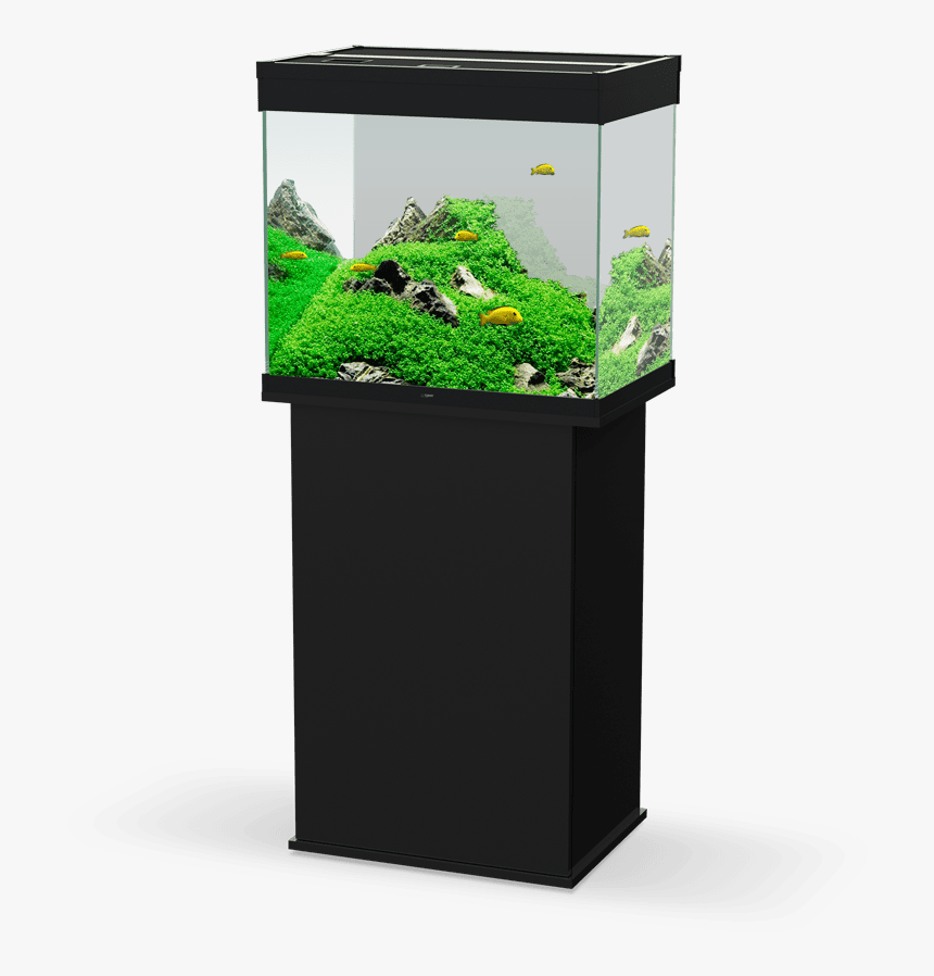 Ciano Emotion Pro 60, HD Png Download
