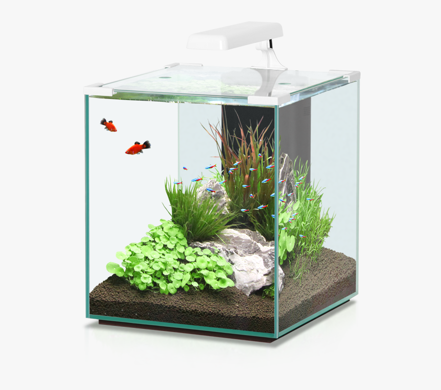 Nano Cubic - Aquatlantis Nano Cubic 40, HD Png Download