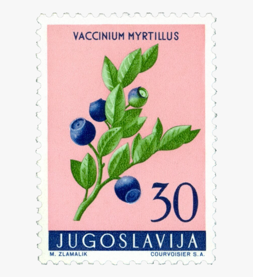 Image - Huckleberry, HD Png Download