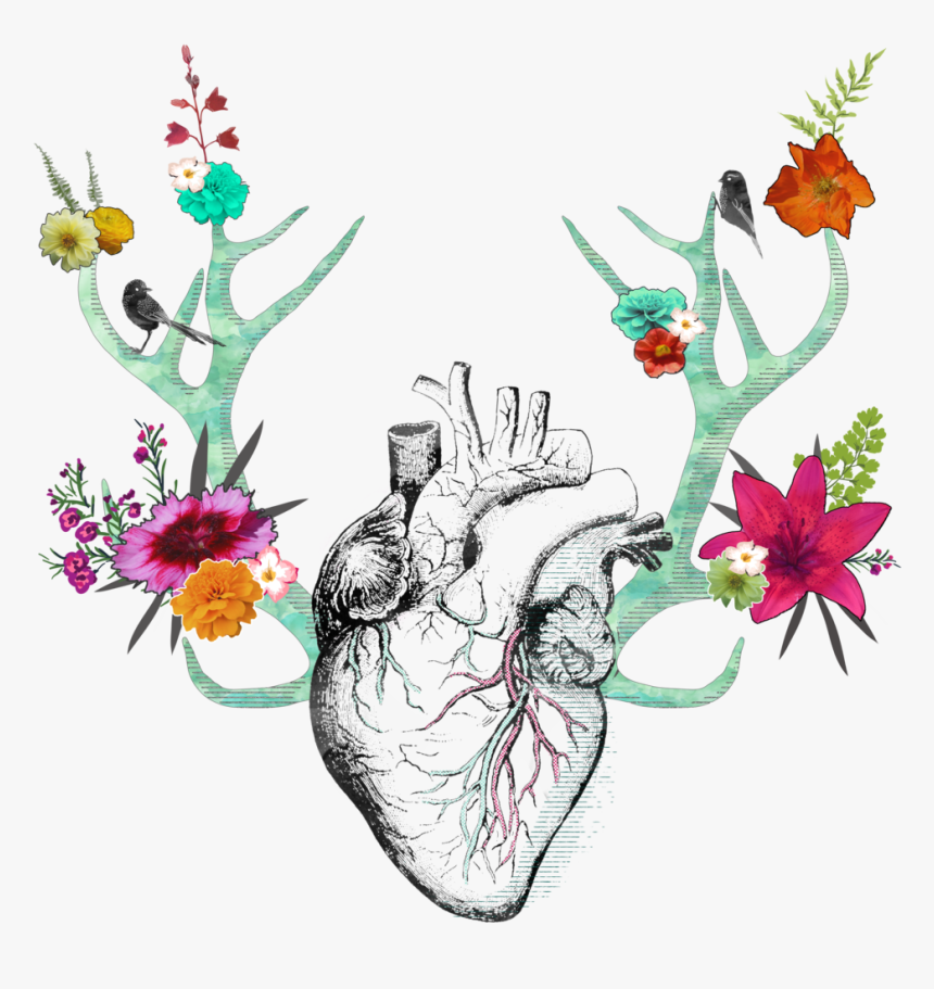 Antler Heart, HD Png Download