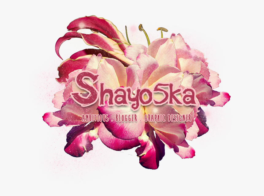 Http - //www - Youtube - Com/attribution » - Hybrid - Hybrid Tea Rose, HD Png Download