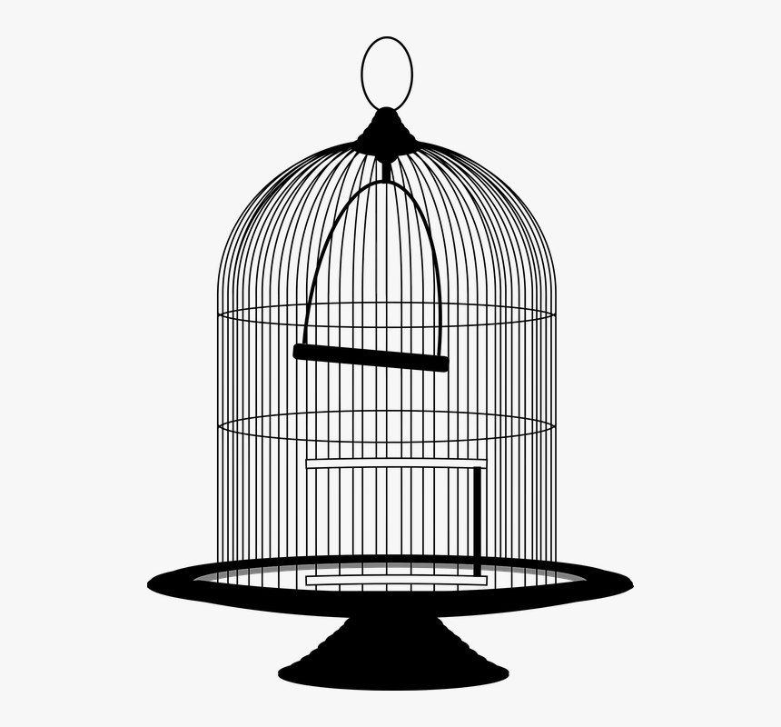 Ave, Jaula, Victoriana, Vinta - Bird Cage Clipart Black And White, HD Png Download