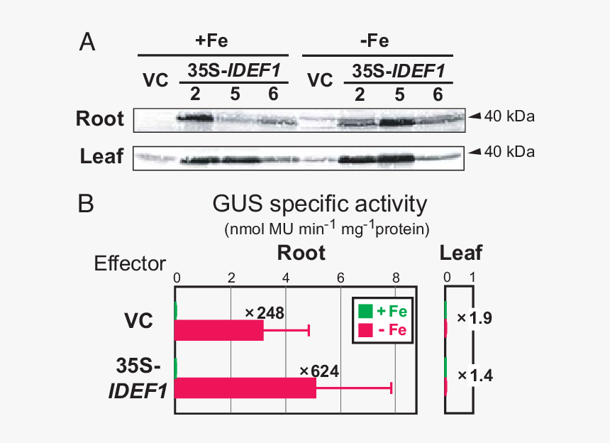 Number, HD Png Download