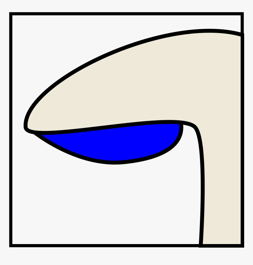 Emarginate Gills, HD Png Download