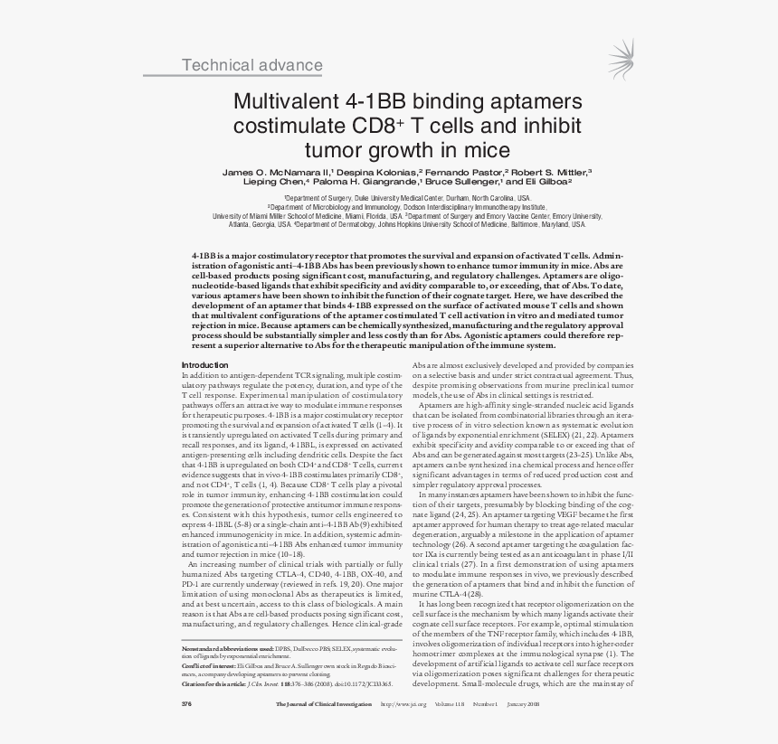 (page 12), HD Png Download