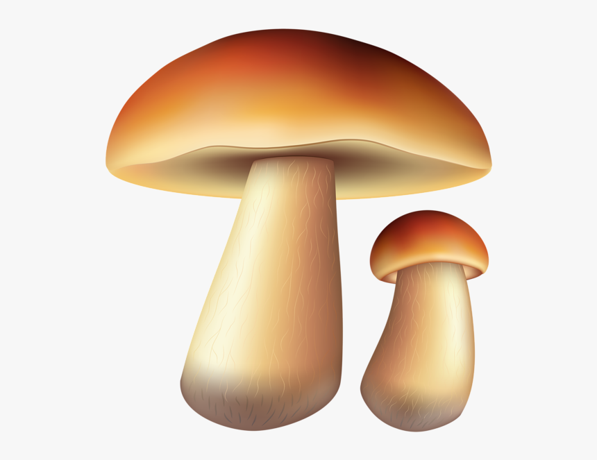 Free Whimsical Black And White Mushrooms Png Free Clipart - Champignon D Automne Clip Art, Transparent Png