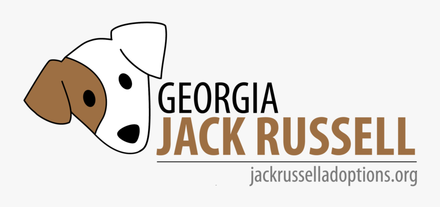 Georgia Jack Russell - Haiti Relief, HD Png Download