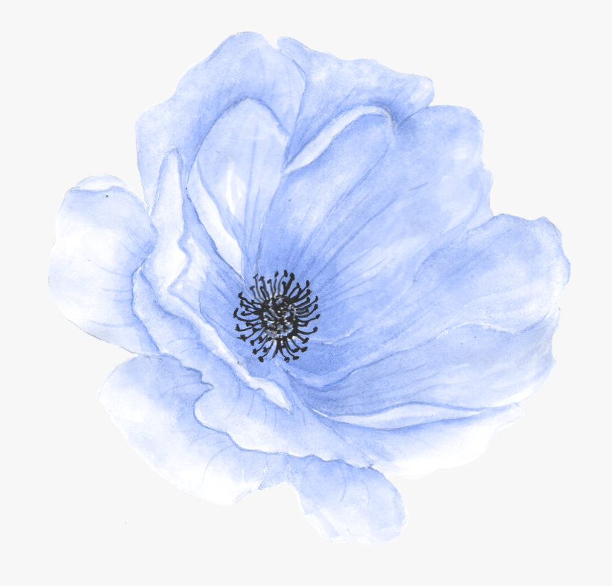 Hand Painted Flower Watercolor Flowers Clipart Blue, HD Png Download