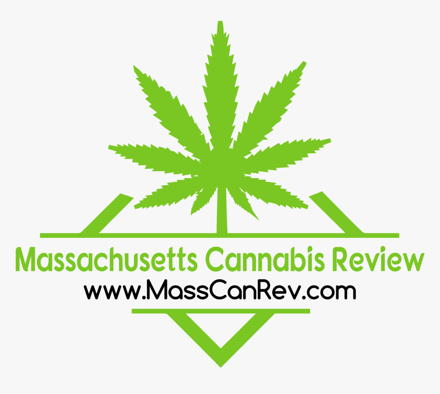 The Reel Ace Blog - Marijuana Leaf Template, HD Png Download