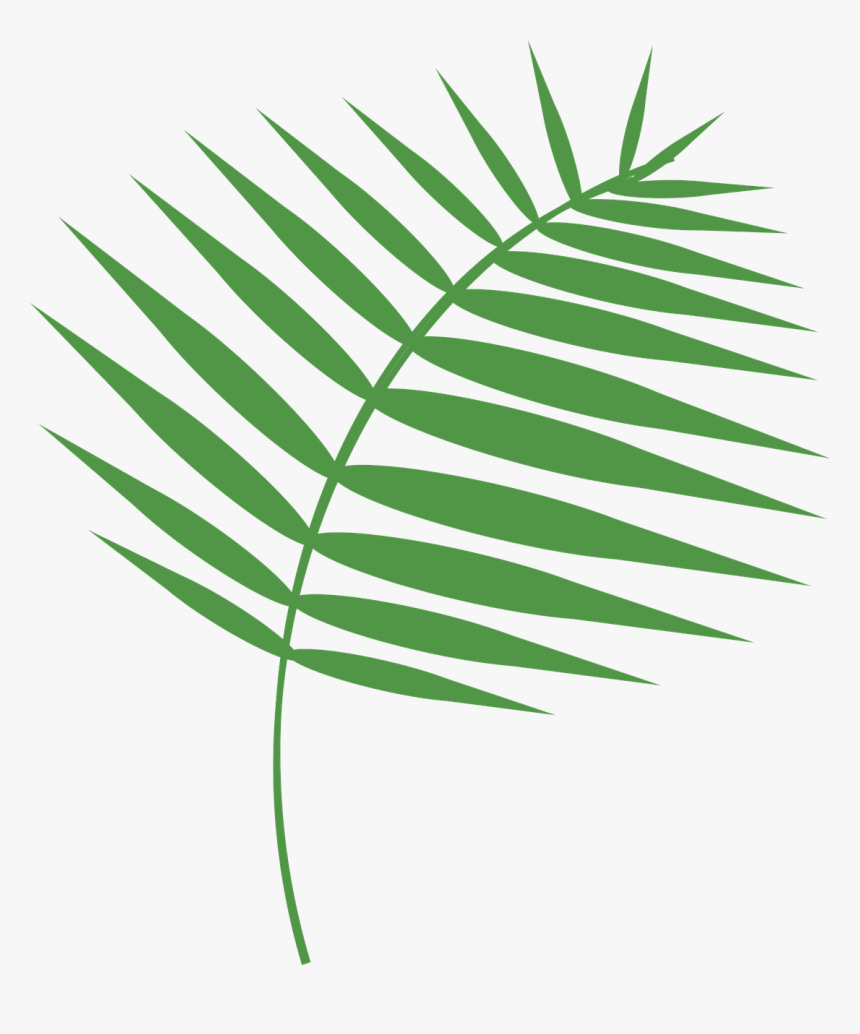 Graphic Palm Palm Sunday Free Photo - Domingo De Ramos Png, Transparent Png
