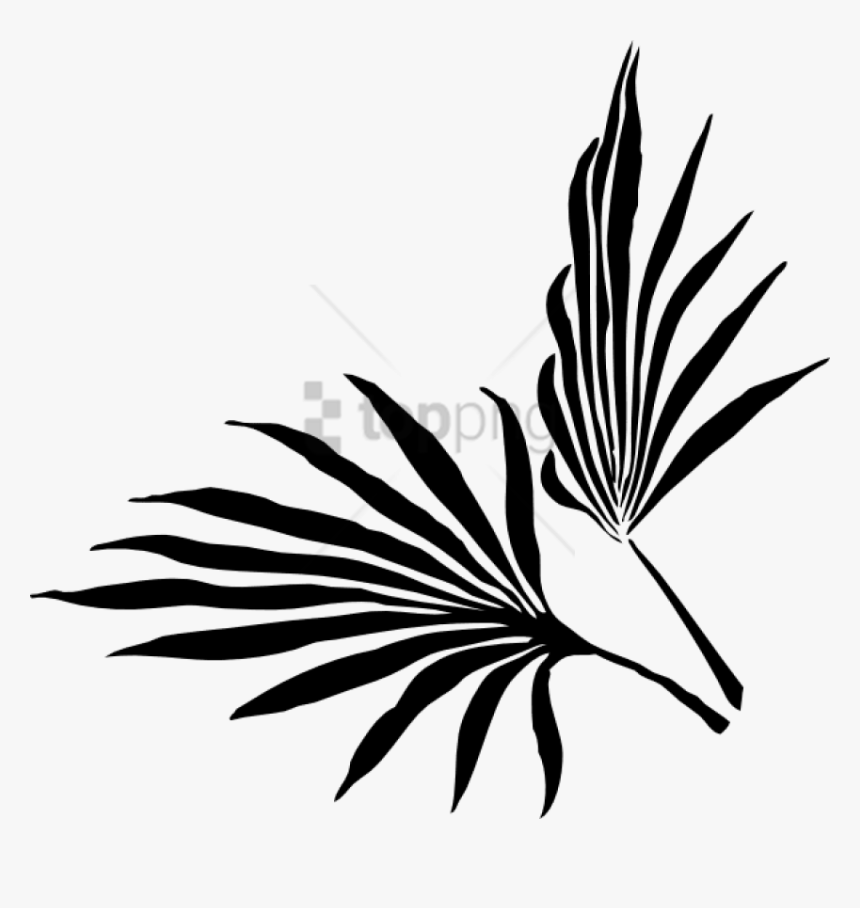 Free Png Palm Leaf Silhouette Vector Png Images Transparent - Tropical Leaf Clipart Black And White, Png Download