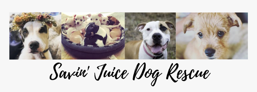 Youre Invited Png, Transparent Png