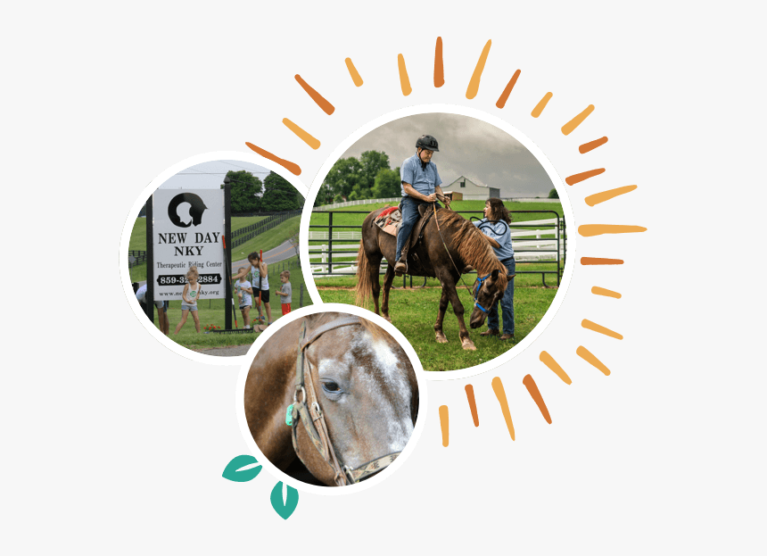 Our Ranch Thumb - Stallion, HD Png Download