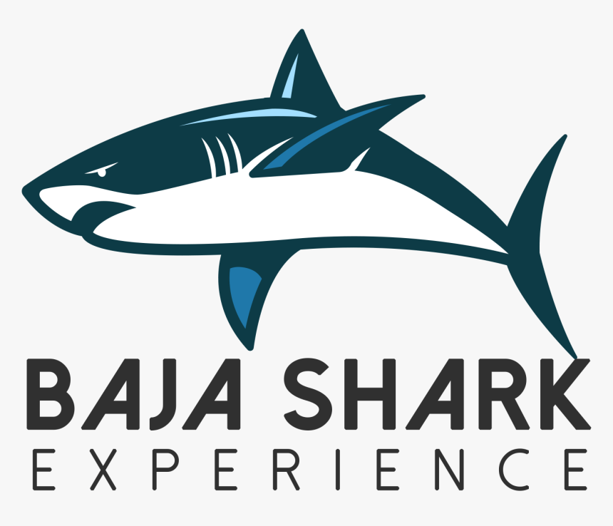 Great White Shark, HD Png Download