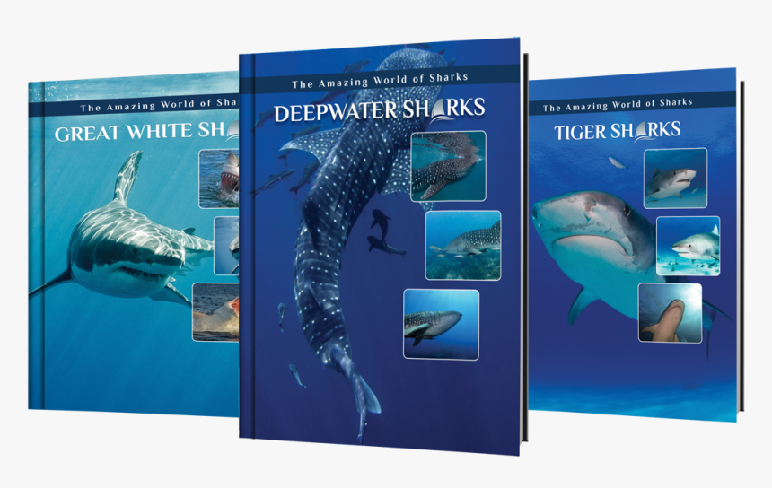 Marine Biology, HD Png Download