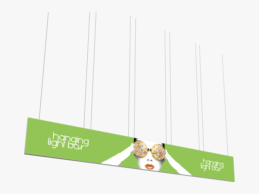 Owl, HD Png Download