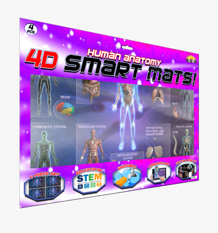 Fête De La Musique, HD Png Download