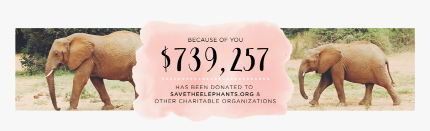 Label, HD Png Download