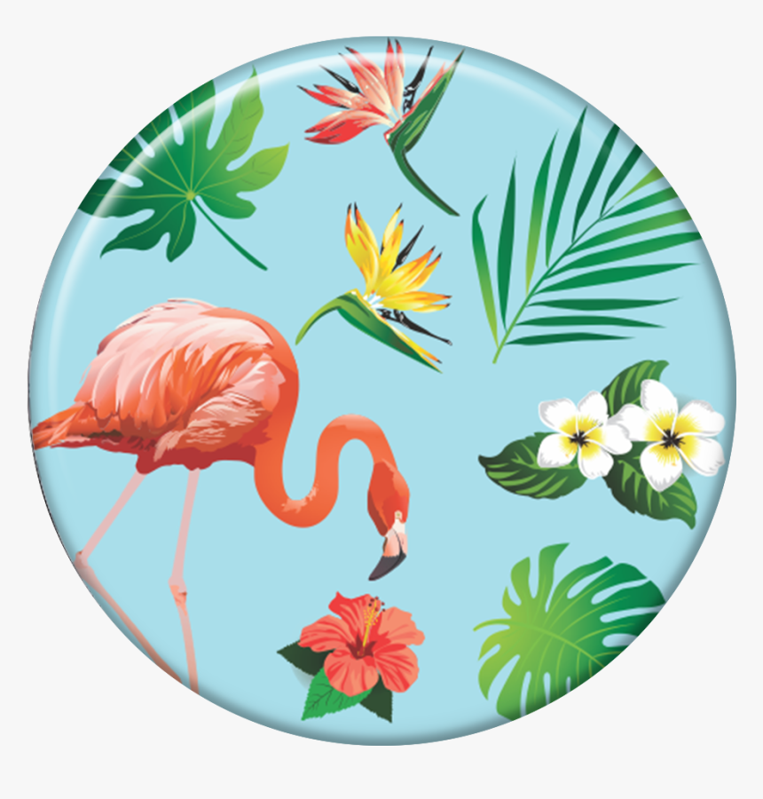 Greater Flamingo, HD Png Download