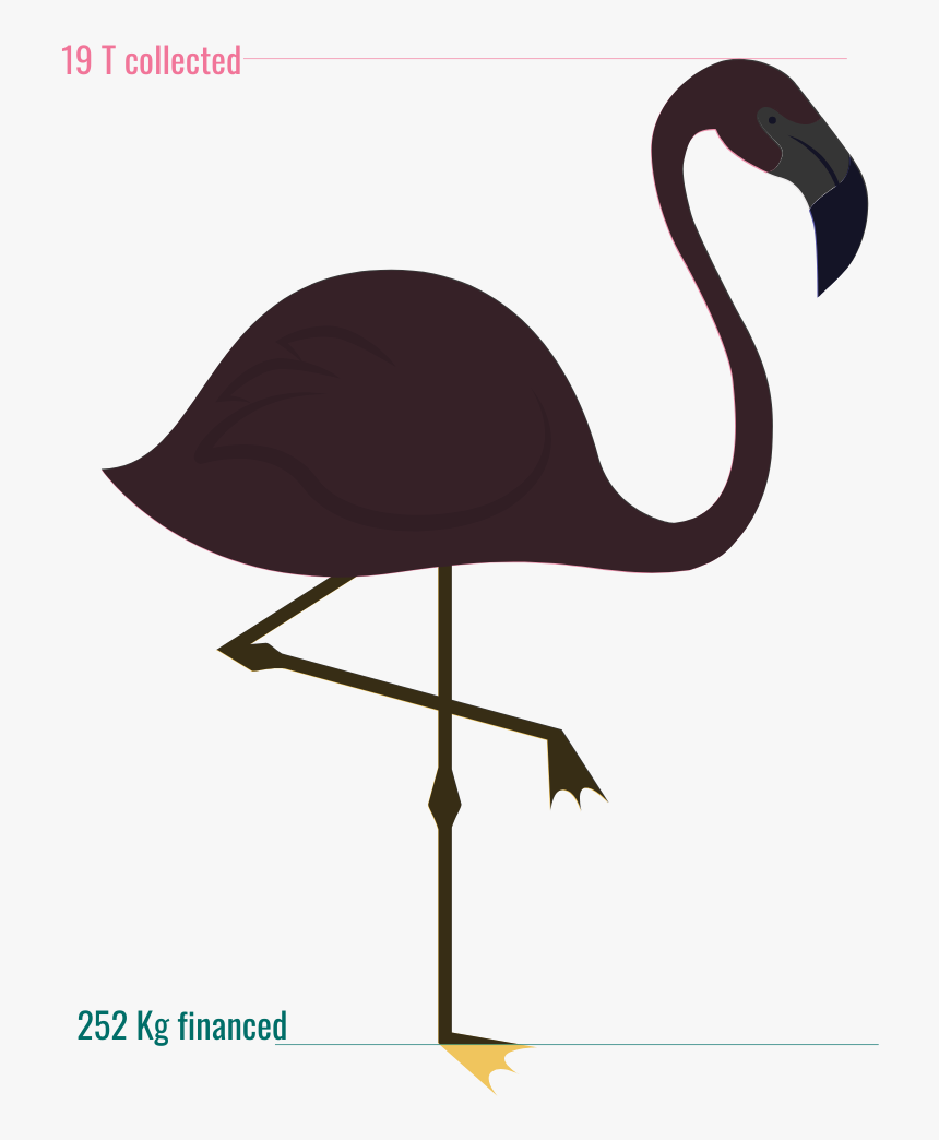 Jauge Offre Ind - Funny Flamingo Quotes, HD Png Download