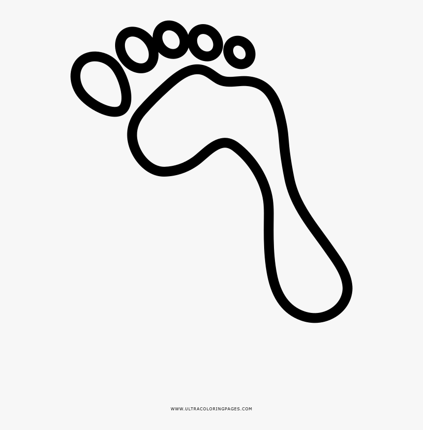 Coloring Book, HD Png Download