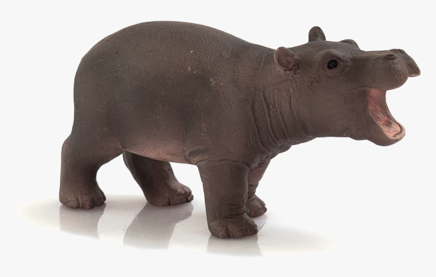 Animal Planet Baby Hippopotamus - Mojo Hippo, HD Png Download